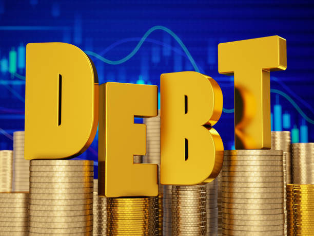 istock Debt Concept with Coins and Money 1315613003