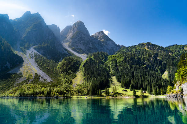 istock Vorderer Gosausee (Lake gosau) surrounded by mountains and pine forests. against blue cloudless sky. 1315616659
