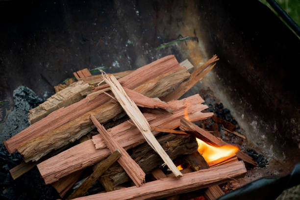iniciando la fogata en una hoguera con leña. - fire pit fire camping burning fotografías e imágenes de stock