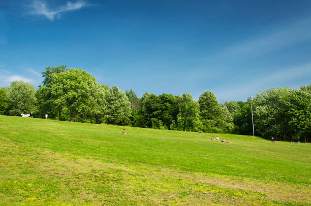 Green meadow and trees in Park Mon Repos, Vyborg, Russia.