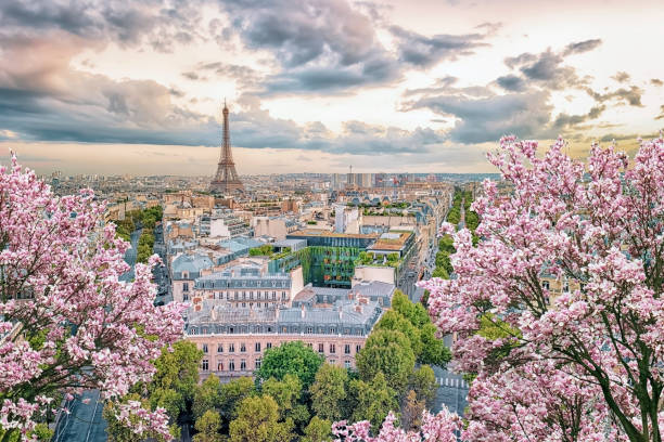 Paris city in the springtime Paris city panorama in daytime skyline flowers stock pictures, royalty-free photos & images