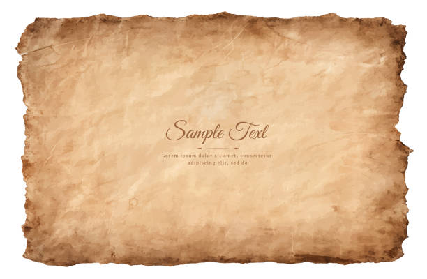 old parchment paper sheet vintage aged or texture isolated on white background old parchment paper sheet vintage aged or texture isolated on white background. treasure map texture stock illustrations