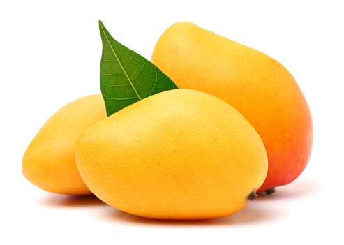 mangos on a white background