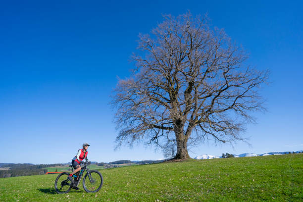 istock woman on ebike below a huge solitaire tree 1315629383