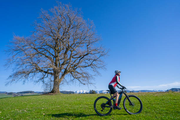 istock woman on ebike below a huge solitaire tree 1315630123