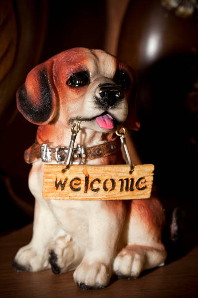 istock Animal Dog Toy holding Welcome Message 1315634119