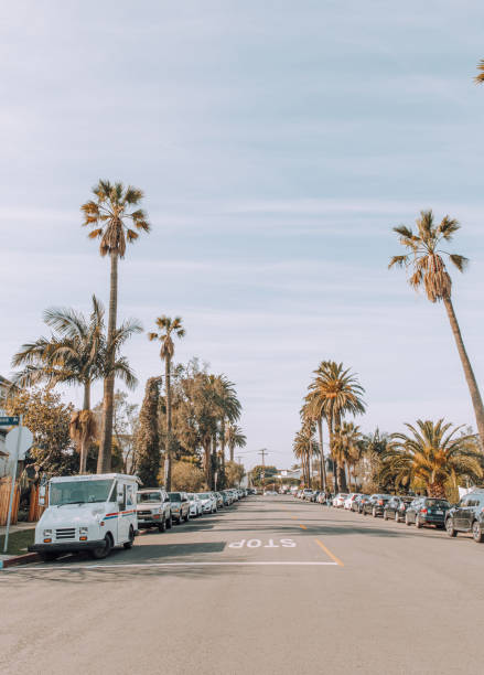 rua da cidade de los angeles - palm tree california city of los angeles venice beach - fotografias e filmes do acervo