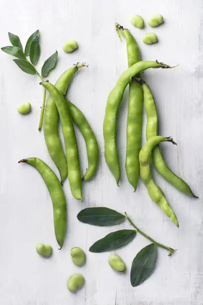Broad bean or  fava beans (Fave) with leaves on the white wooden background, close-up.  From garden to table: springtime vegetables and legumes