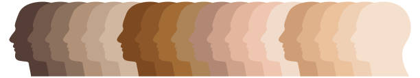 Skin tone Male heads, profile silhouettes, different skin colors, people of color, vector illustration skin tones stock illustrations