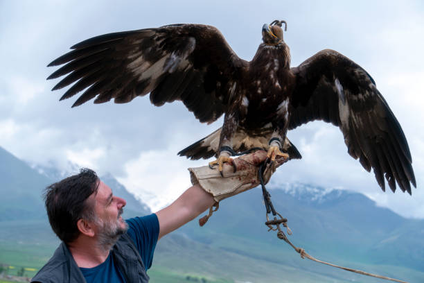 istock A man holding an eagle in his hand 1315641848