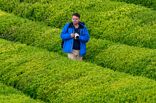 photographer takes pictures in the tea garden. He is wearing blue coat in the Blacksea area in Turkey.