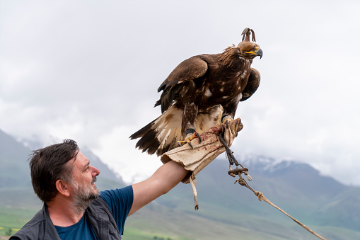 A man is holding an eagle in his hand towards the foggy mountain. He is wearing gloves. The eagle spread its wings in the mountainous region of Kyrgyzstan.
