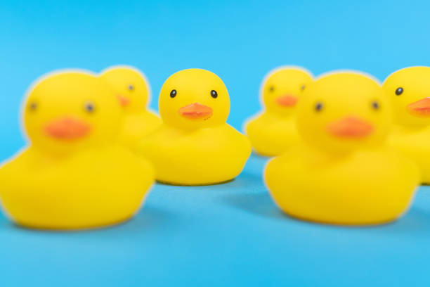 istock yellow rubber ducks on a blue background. Minimal design. selective focus 1315647148