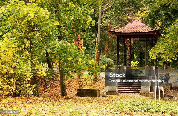 Chiński Altana W Jesień Park - zdjęcia stockowe i więcej obrazów Altana - Altana, Architektura, Bez ludzi