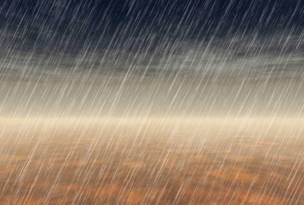 long-awaited night rain in the desert vector art illustration