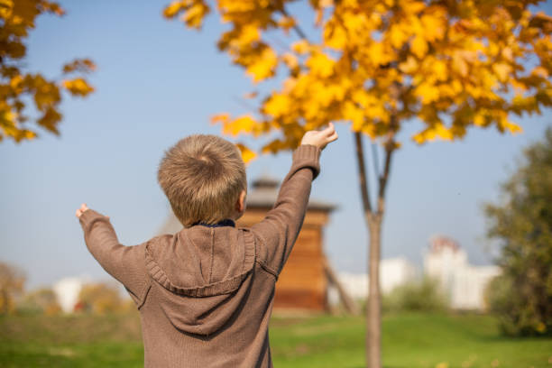 um menino com braços estendidos em um parque público tentando alcançar as folhas de bordo amarelo outono e o céu - kolomenskoye - fotografias e filmes do acervo