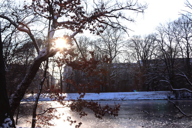 istock Carp Pond Treptower Park 1315658521