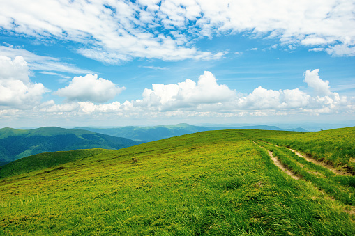 country road through alpine meadow of carpathian mountain. beautiful nature landscape in summer. scenery with open view in to the distant ridge and valley. wonderful sky with clouds above the horizon