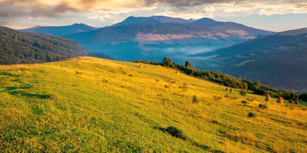 istock rural landscape with fields on hills 1315661323