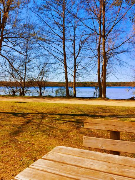 istock Benches at the lake 1315663179