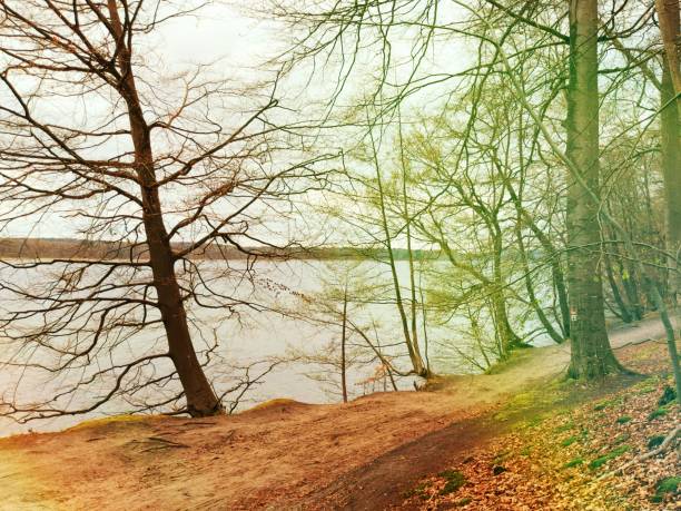 Nice rest in spring