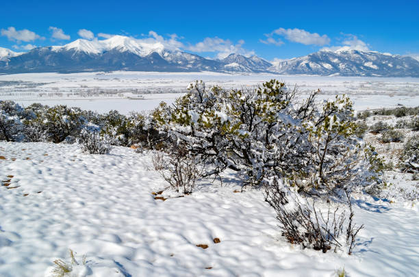 istock Snow capped Mount Princeton, 14196 feet peak 1315663804