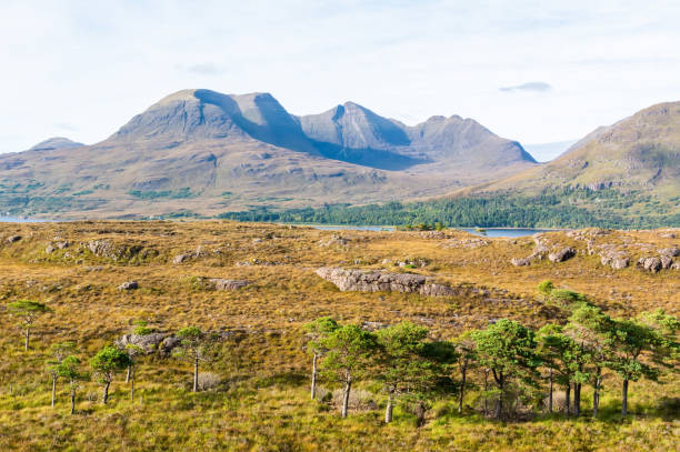 paesaggio nella regione scozzese di torridon - mount tom foto e immagini stock