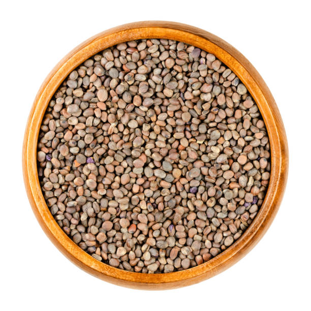 istock Red radish seeds, seeds for sprouting, Raphanus sativus, in a wooden bowl 1315664834