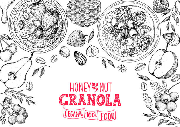 Granola ingredients illustration. Oat flakes , berries, fruits and nuts hand drawn sketch. Breakfast top view frame. Morning food menu design. Hand drawn vector illustration