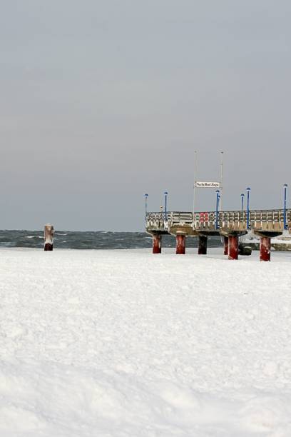 istock Winter in the countryside 1315669016