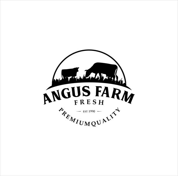 Black angus Vintage Retro Hipster design template. Cattle cow farm And buffalo Silhouette Illustration Black angus Vintage Retro Hipster design template. Cattle cow farm And buffalo Silhouette Illustration aberdeen angus cattle stock illustrations