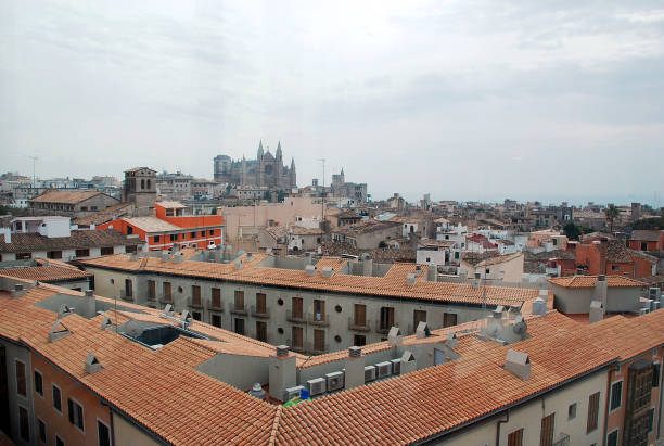 istock Cityscape with the cathedral in Mallorca 1315680220