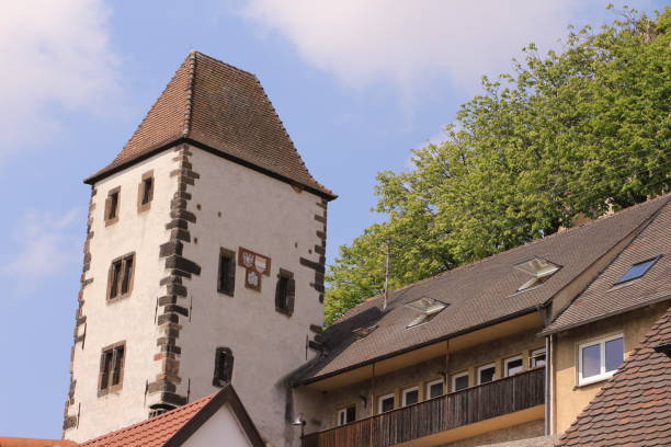 istock Sunny spring day in Breisach am Rhein 1315680525