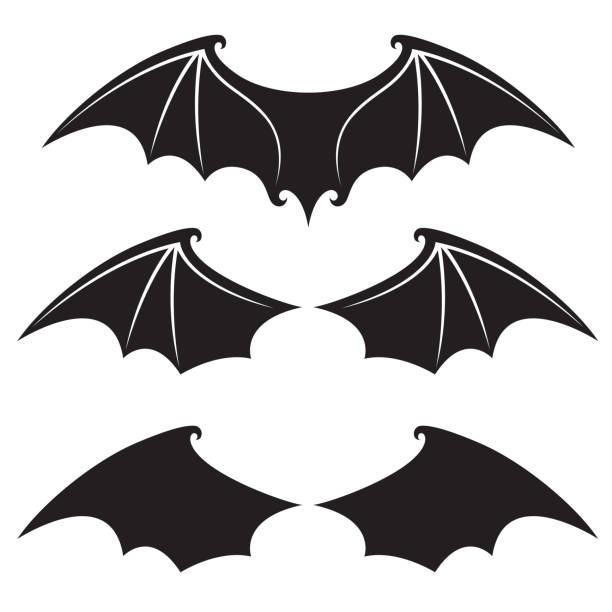 illustrations, cliparts, dessins animés et icônes de ensemble d’ailes de chauve-souris - bats