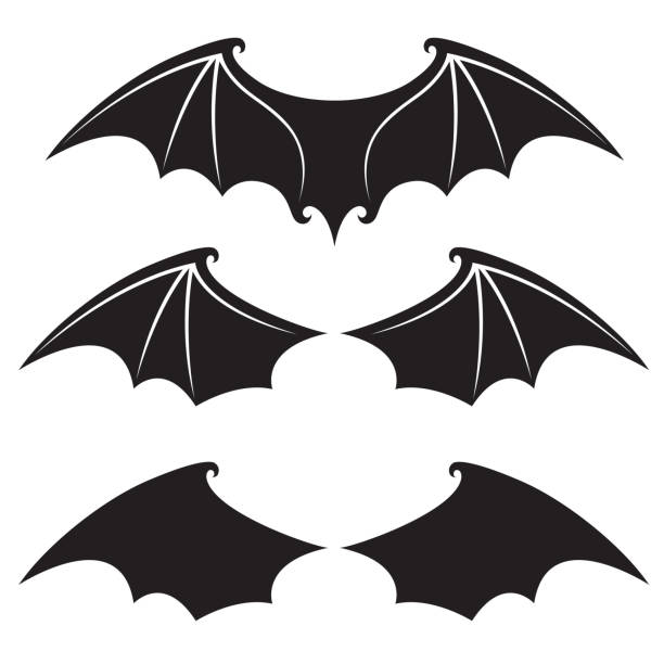 set of bat wings collection of black bat wings isolated on white background bat stock illustrations
