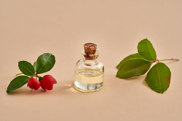 une bouteille d’huile essentielle avec des feuilles et des baies wintergreen - wintergreen photos et images de collection