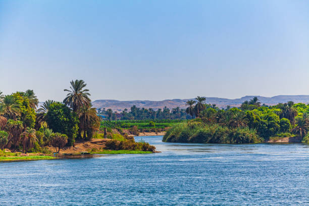 istock Landscape view of large river nile in Egypt 1315694637