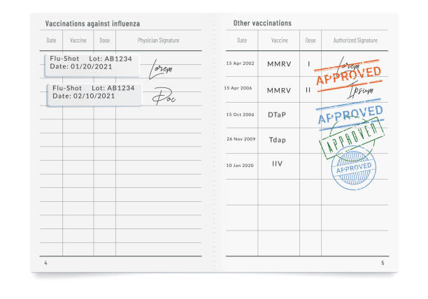 istock Phony filled vaccination record card with stamps of approval. 1315696281