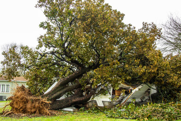 istock Destroyed House, Nashville TN 1315698918