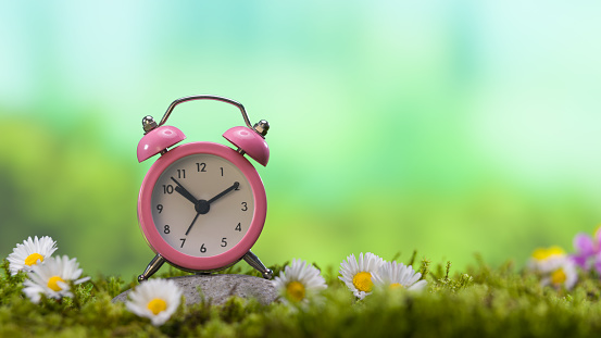 Springtime - Saving Summer Concept. Pink alarm clock on forest moss.