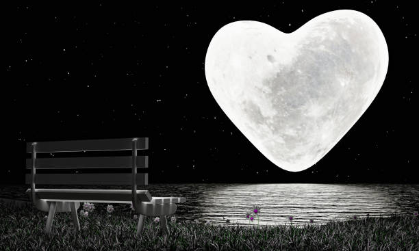 istock heart-shaped full moon with full stars in the sky. Moon reflected on water's surface. long bench made of wood on the grass with flowers on the field. The romantic atmosphere of valentine. 3D Rendering 1315700979