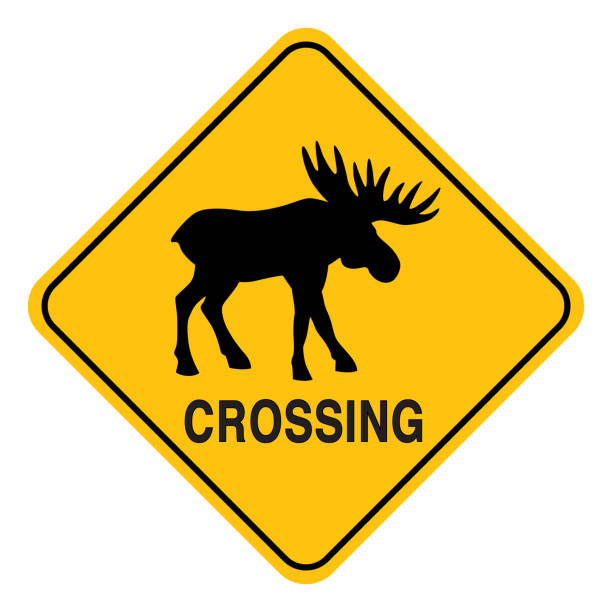 무스 크로싱 사인 - moose crossing sign stock illustrations