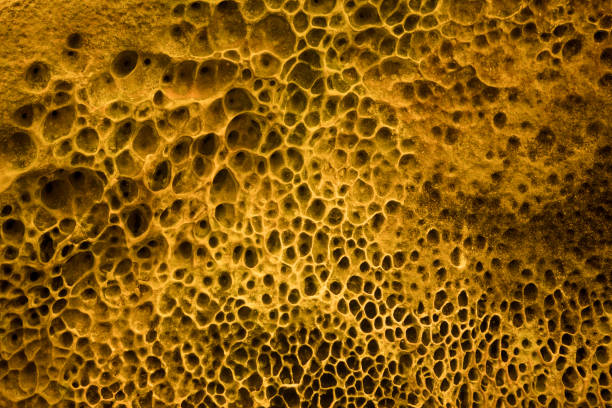 Background Image of a colourful honeycomb effect