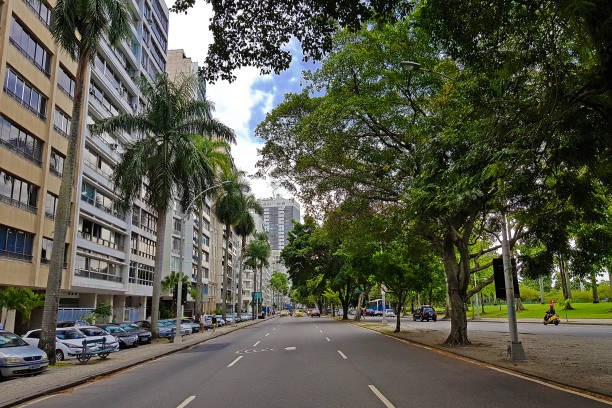 istock Flamengo Beach Avenue in Rio de Janeiro 1315706032
