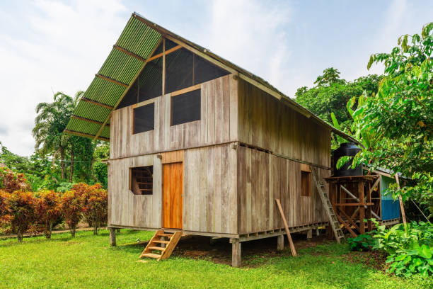 casa de palafitas da floresta amazônica, equador - tena - fotografias e filmes do acervo