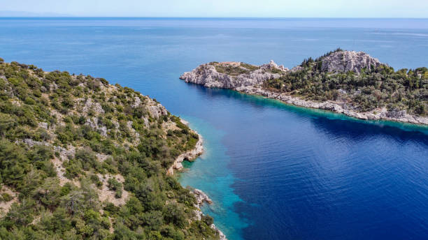 istock Green cliff clear sky with turquoise sea 1315716053