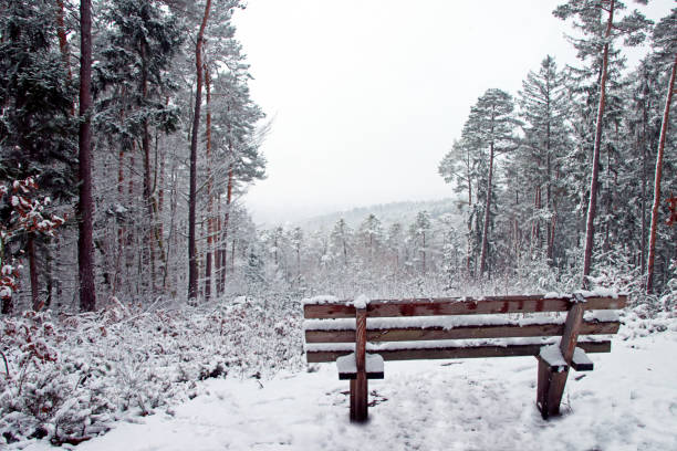 Resting and relaxation on wooden bench during hike in public park, Germany.