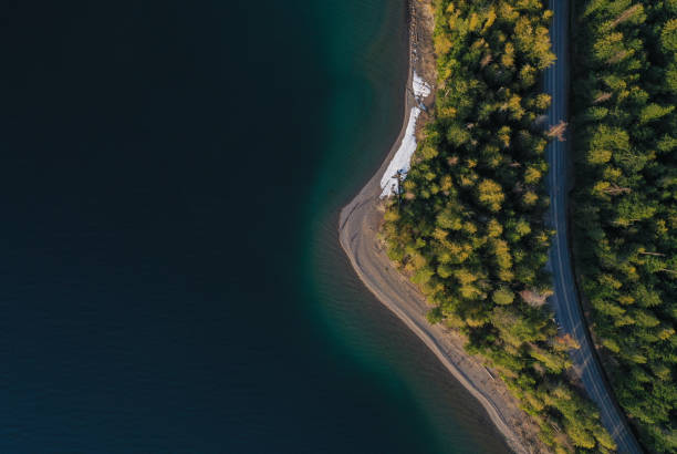 beautiful coastal beach with pine forest on edge of lake - montana water landscape nature imagens e fotografias de stock