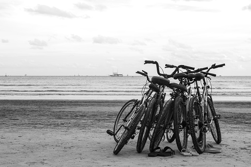 Bicycles huddled on the beach with the horizon of the sea in the background.