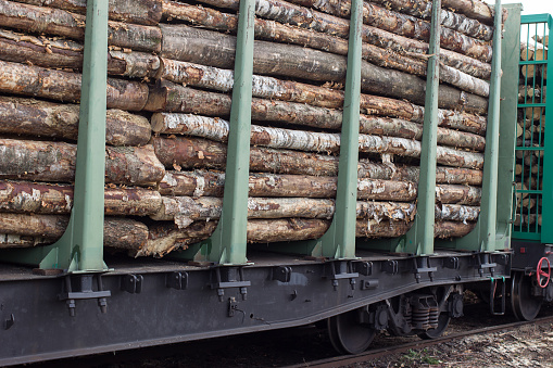 Wagons loaded with tree trunks. Transport logging and forestry industry.